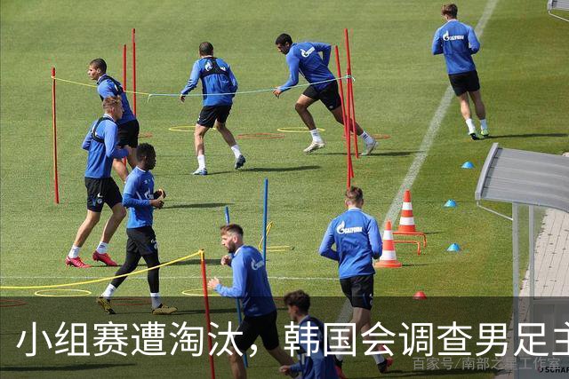 小组赛遭淘汰，韩国会调查男足主教练任命程序及足协管理等问题，讨论如何使其正常化