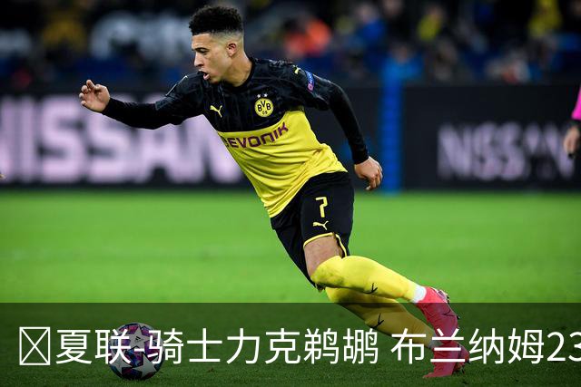 🏀夏联-骑士力克鹈鹕 布兰纳姆23分 马奎斯·诺威尔三分11中2